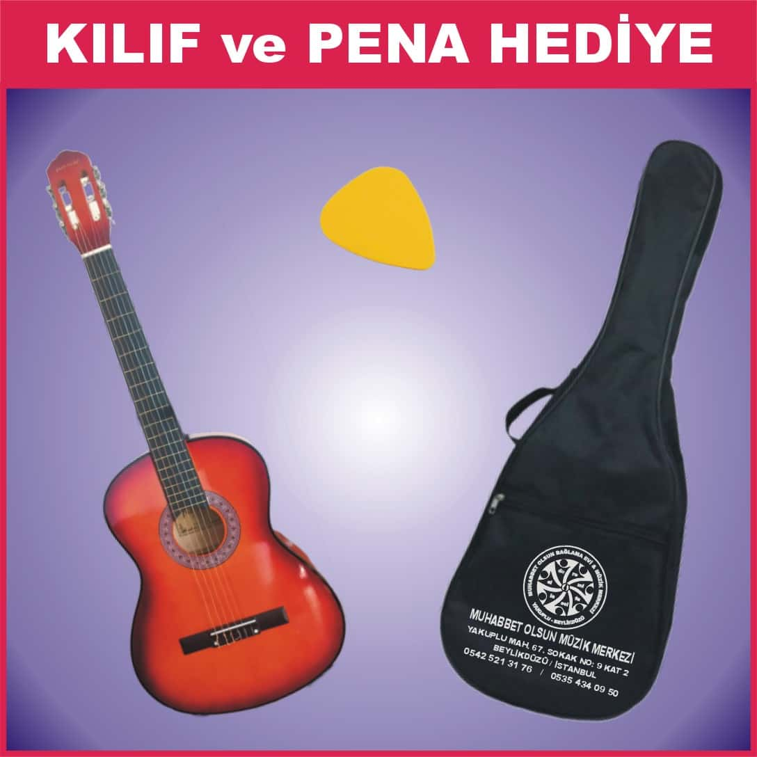 Gitar Çeşitleri