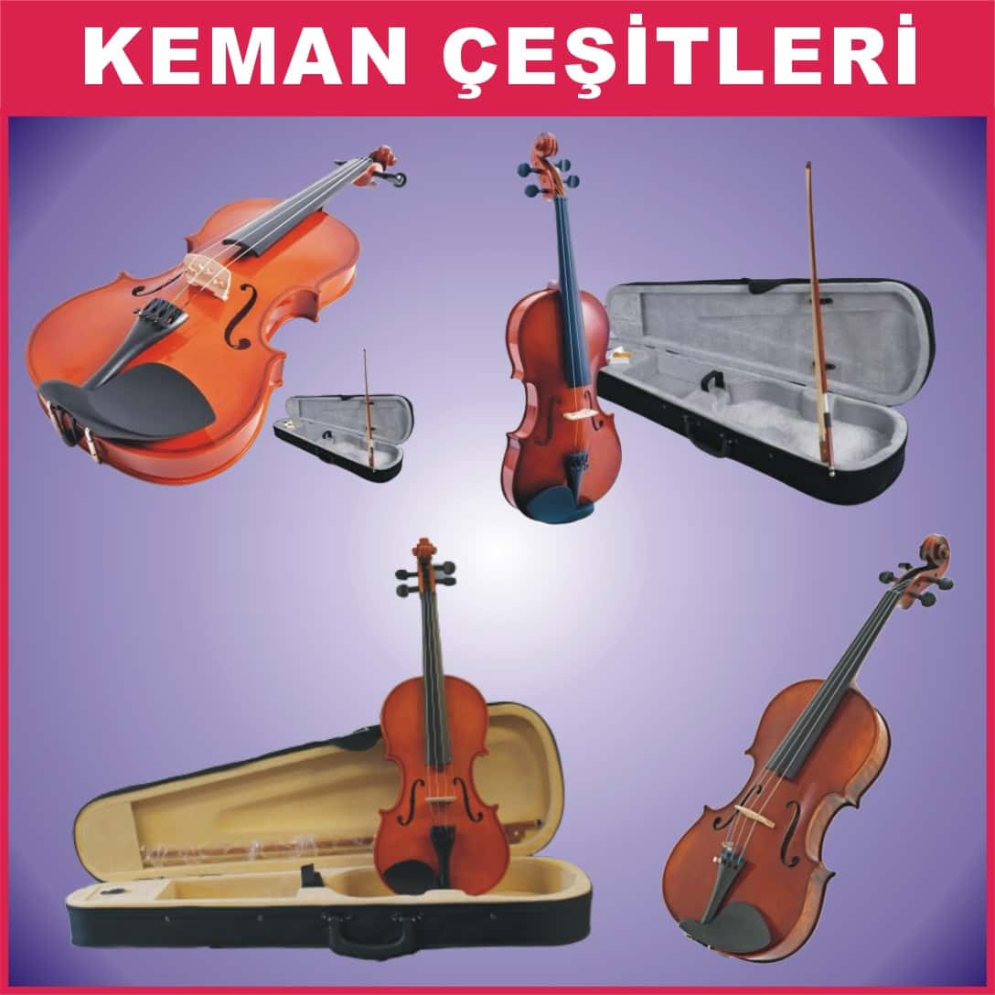 Keman çeşitleri