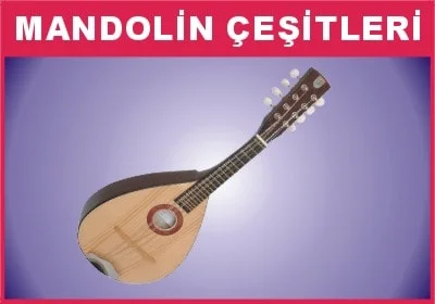 MANDOLİN