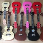 Ukulele çeşitleri