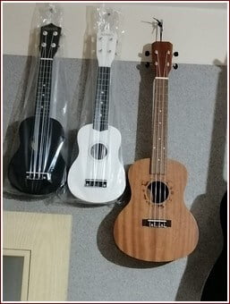 ukulele çeşitleri